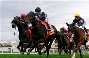 2023 Makybe Diva Stakes: Final Field, Barriers and Market.
